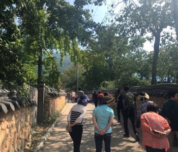 160924_코레일 아트투어 남행열차 및 다시茶時 살롱 이미지