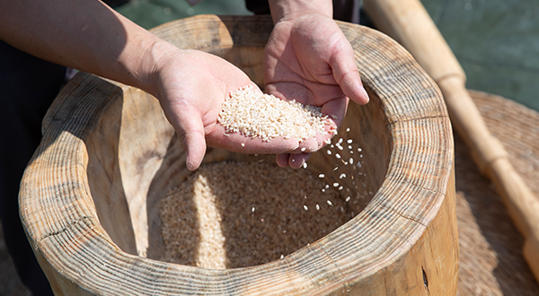 광주 신창동 유적